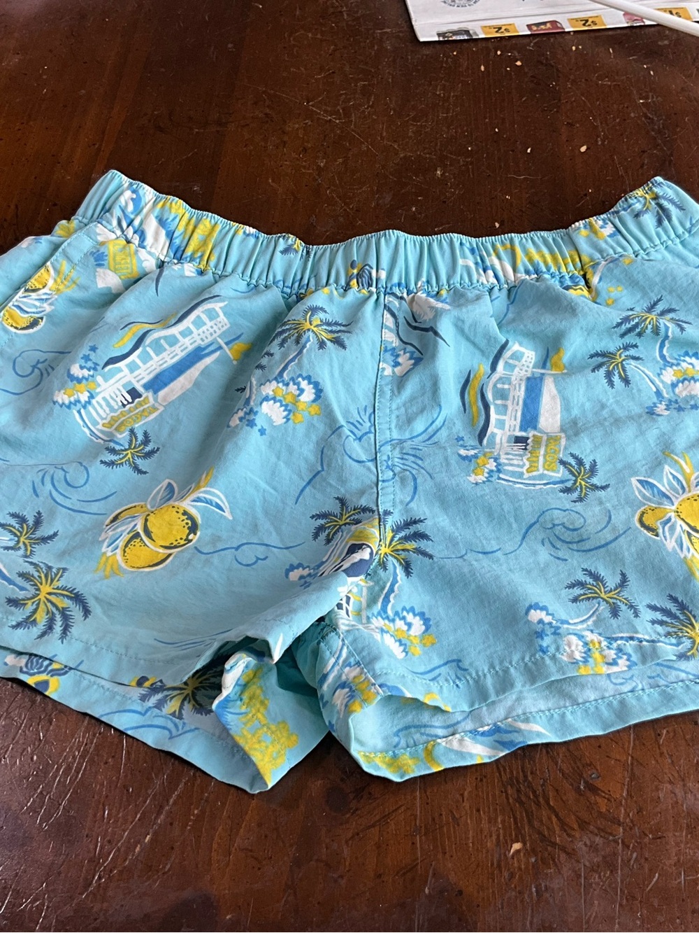 Ladies size medium swim Patagonia shorts